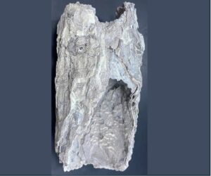 Scale formation sample